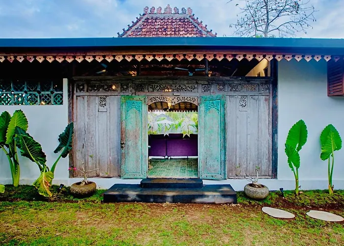 Complex Cashew Anouk Jungle - Bingin Villa