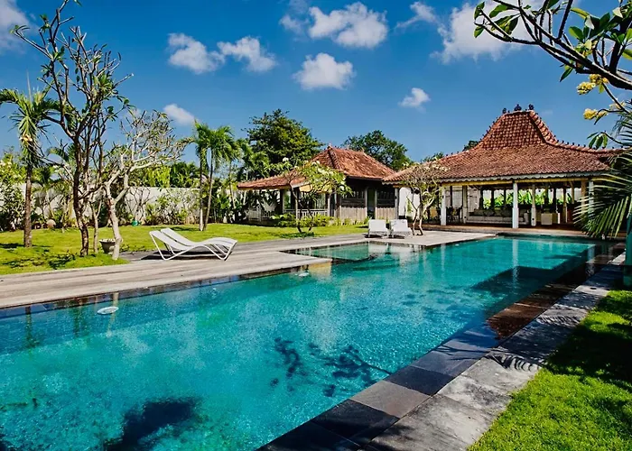 Complex Cashew Anouk Jungle - Bingin Villa *
