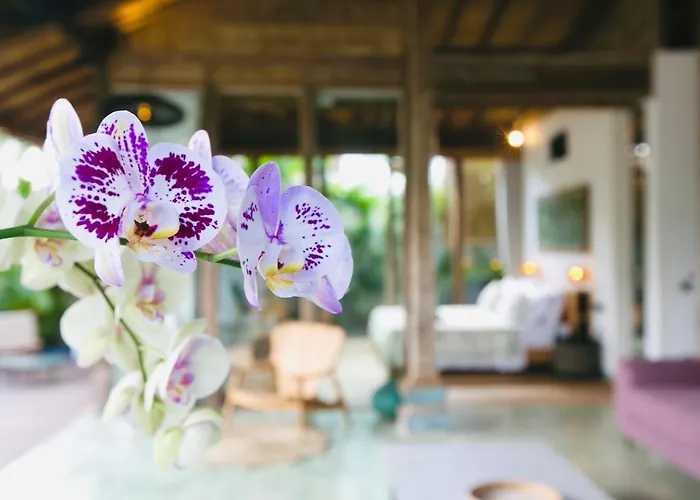 Complex Cashew Anouk Jungle - Bingin Villa *