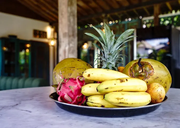 Complex Cashew Anouk Jungle - Bingin Villa *